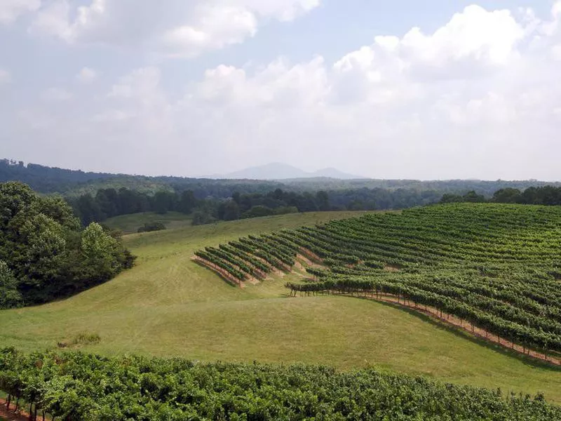 Dahlonega countryside