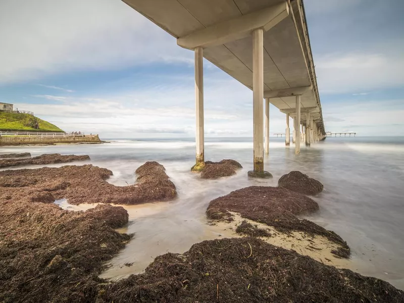 Ocean Beach Pier, San Diego