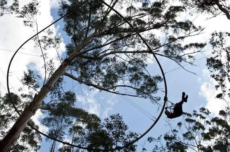 TreeTop Crazy Rider