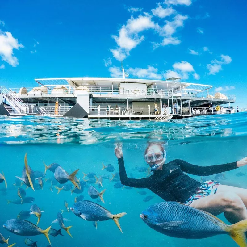 Snorkeling in the Great Barrier Reef