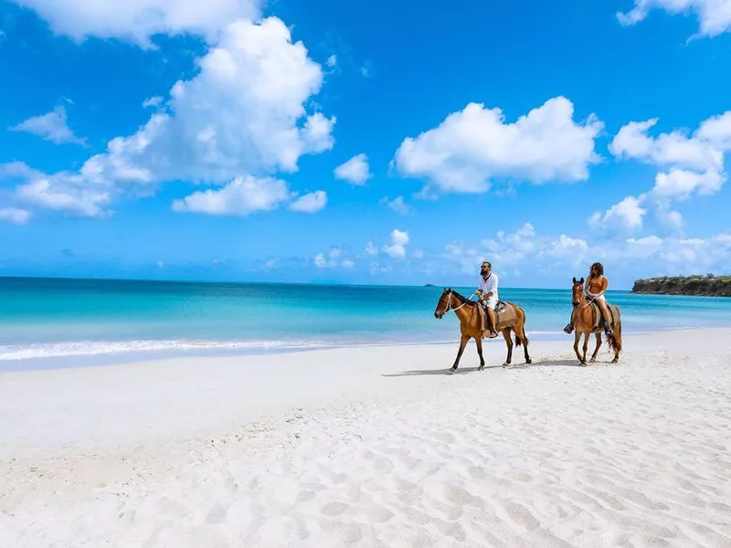 Horseback riding in Antigua