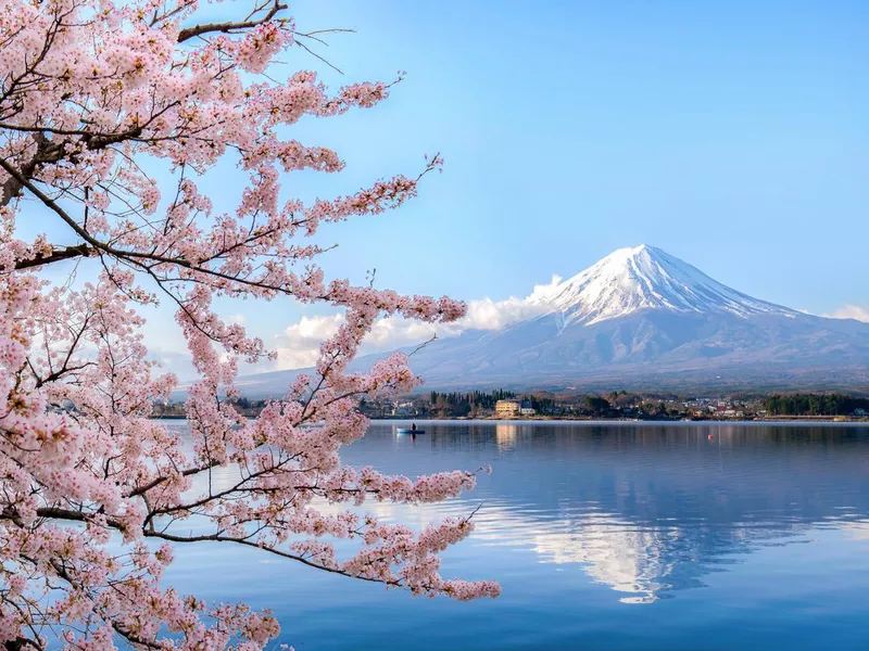 Mount fuji at Lake kawaguchiko