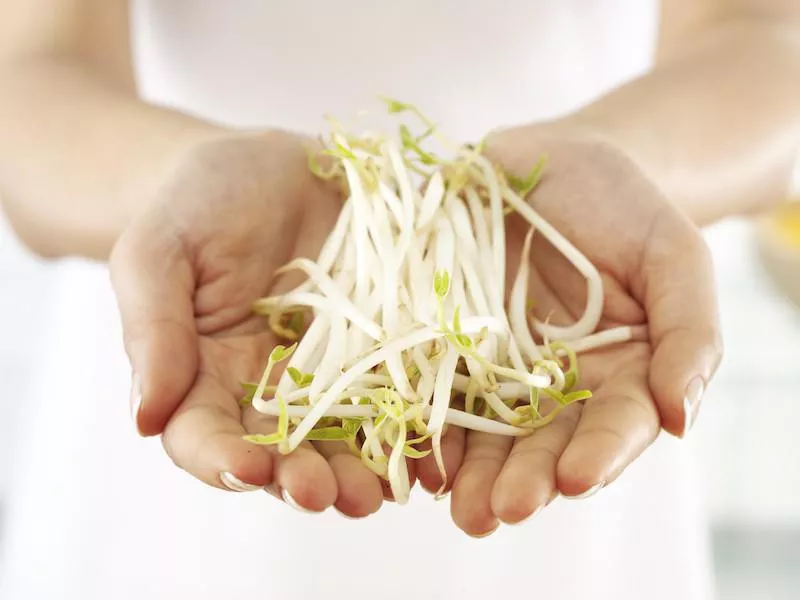 Bean sprouts