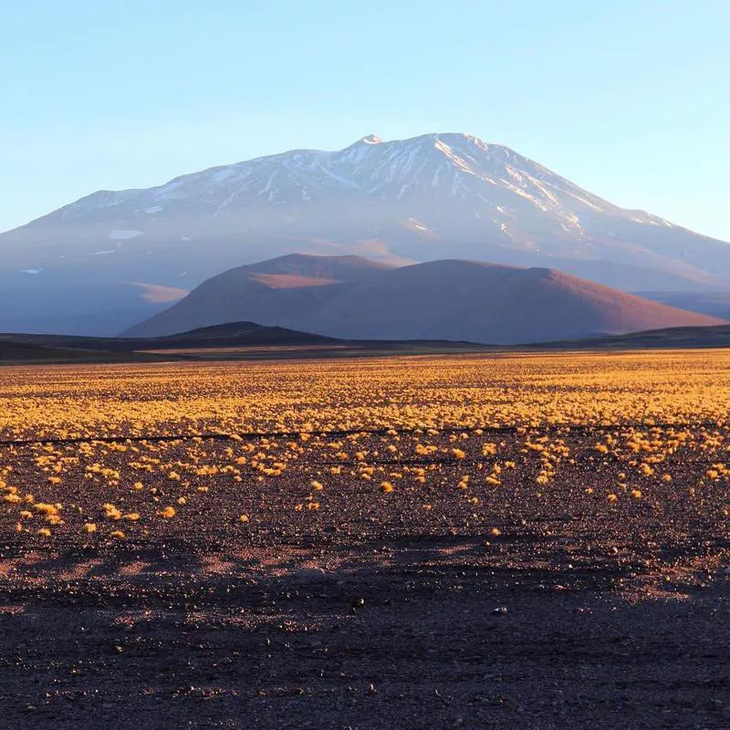 Cerro Bonete Chico