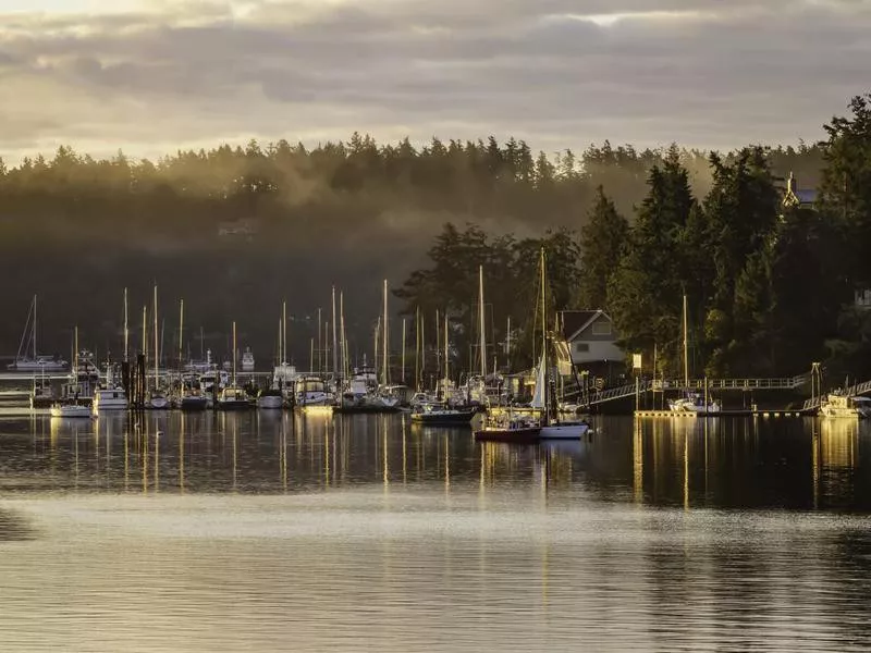 Friday Harbor