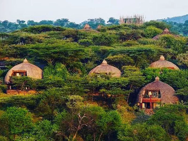 Serengeti Serena Safari Lodge