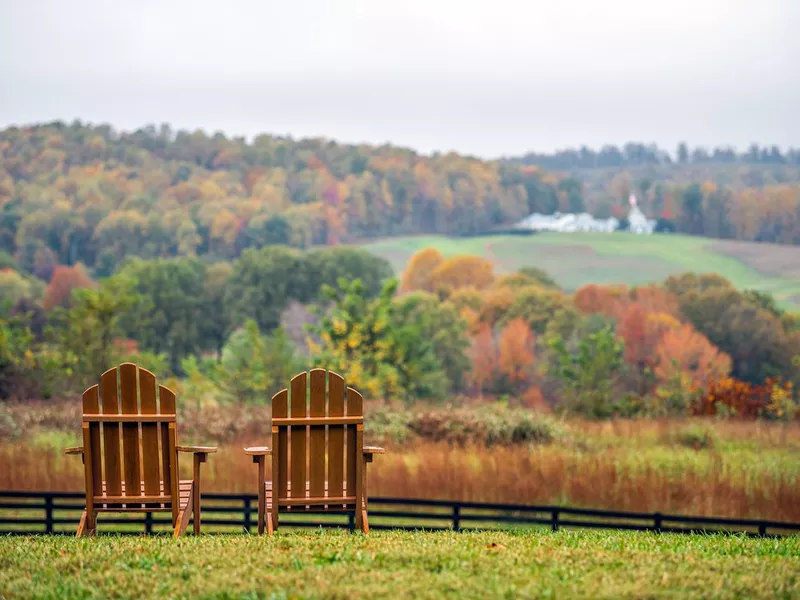 Vineyard in Charlottesville, Virginia in the fall