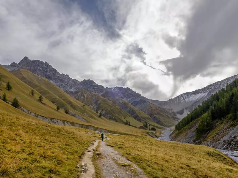 Swiss National Park