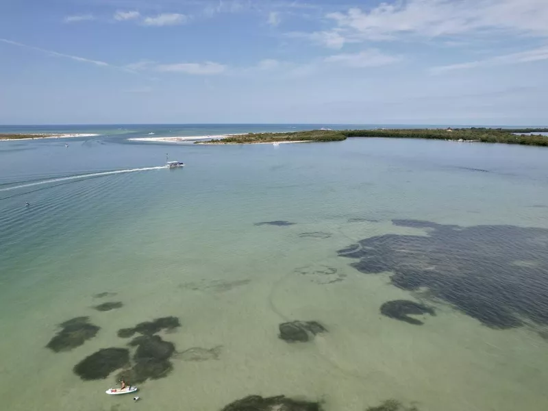 Honeymoon Island and the Caladesi Island Ferry