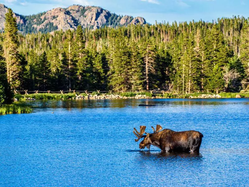 Rocky Mountain National Park, Colorado