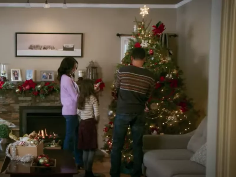 A Christmas Tree Grows in Colorado