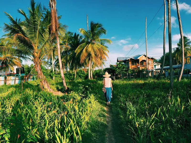 Guyana countryside