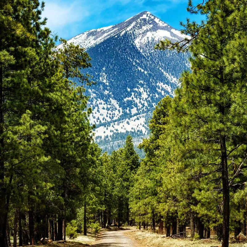 Flagstaff Arizona Road to Mountains