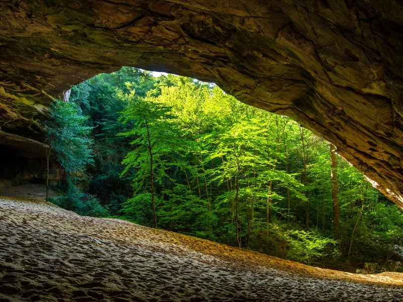 The Sand Cave, CGNHP