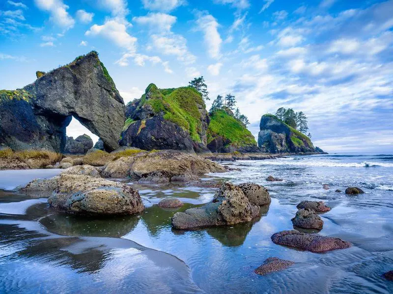 Olympic National Park, Shi Shi Beach