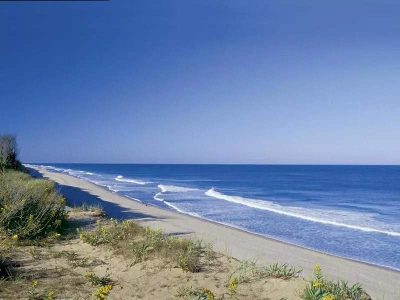 Coast Guard Beach