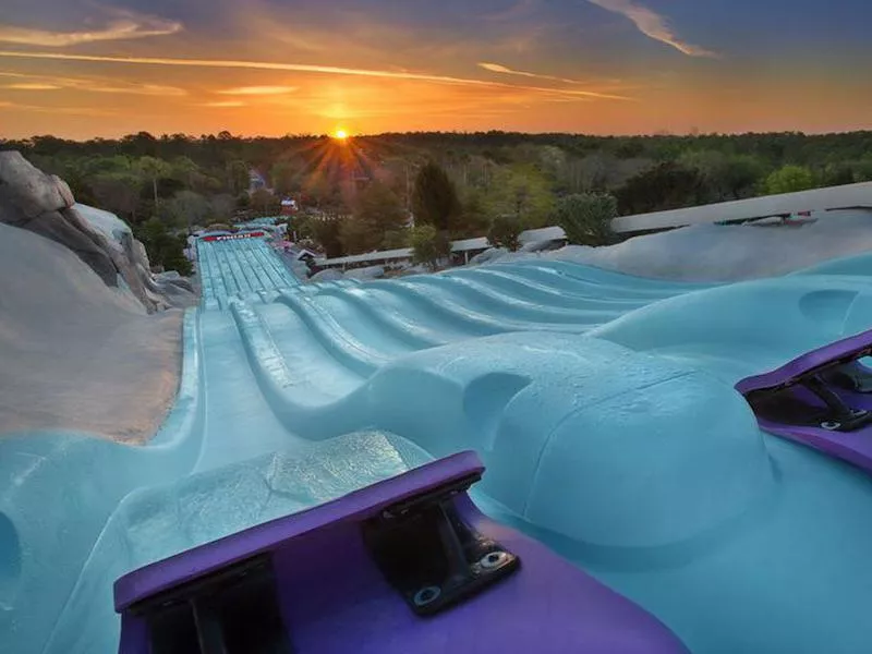 toboggan racers