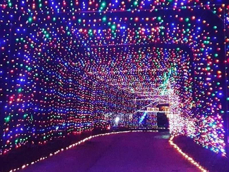 Tunnel of Lights