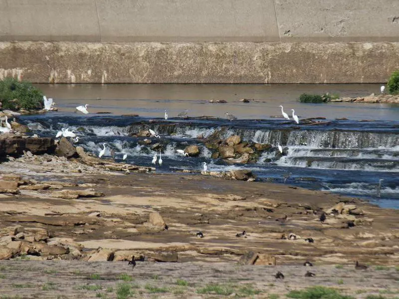 Falls of the Ohio State Park