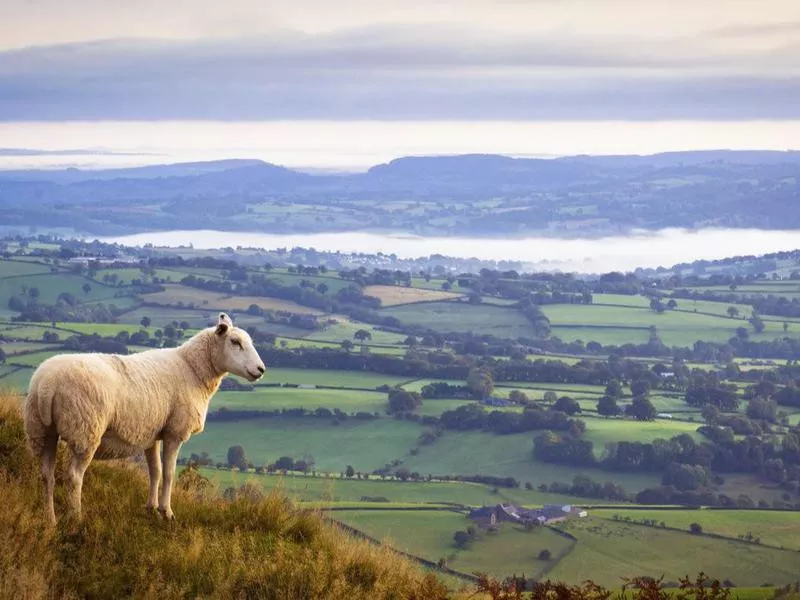 Monmouthshire, UK