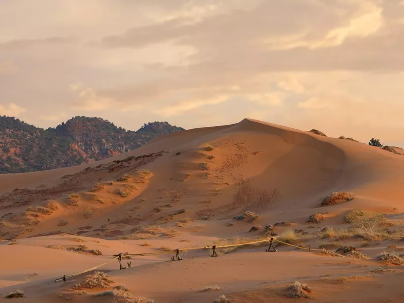 Coral Pink Sand Dunes State Park, Utah at Sunset