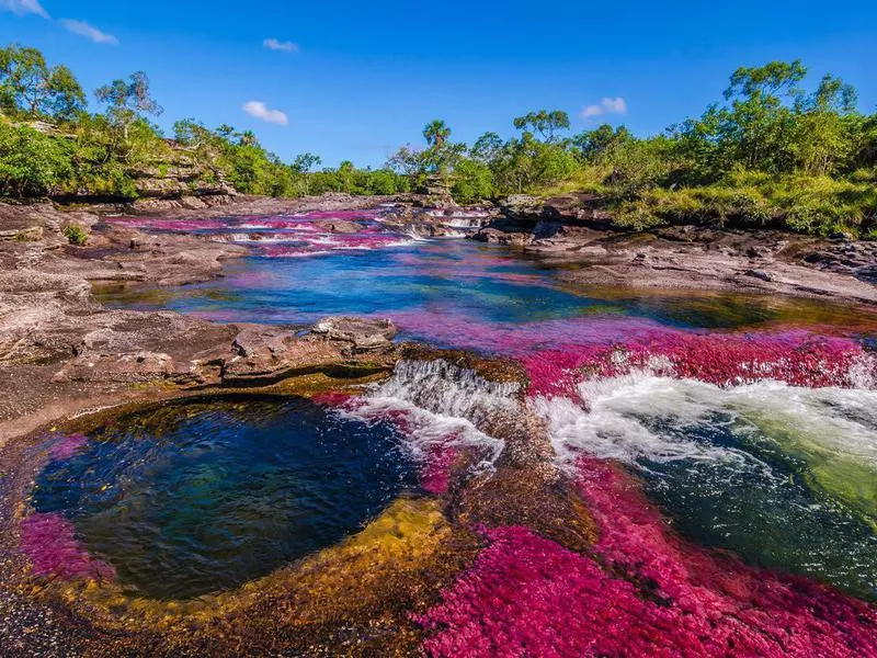 cano cristales