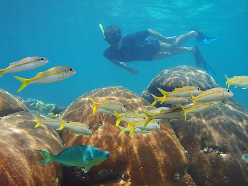 Snorkeling in Cancun