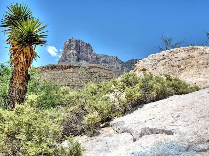 Guadalupe Peak Texas Highpoint Trail