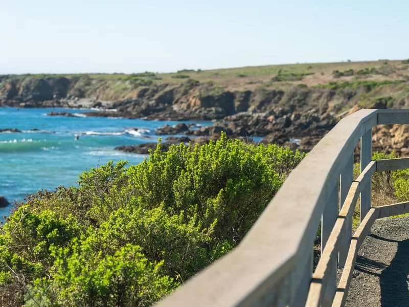 Trail at Hearst San Simeon State Park