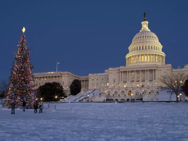 Capitol Christmas Tree