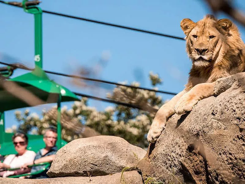 Henry Doorly Zoo and Aquarium