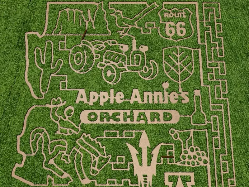 Apple orchard maze in Arizona