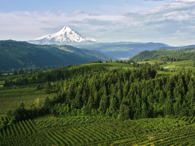 View of the Mount Hood, Oregon